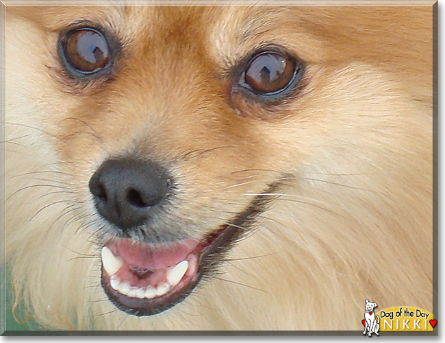 Name:  24.jpg
Views: 211
Size:  261.0 KB