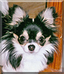 Name:  large.jpg
Views: 149
Size:  13.7 KB