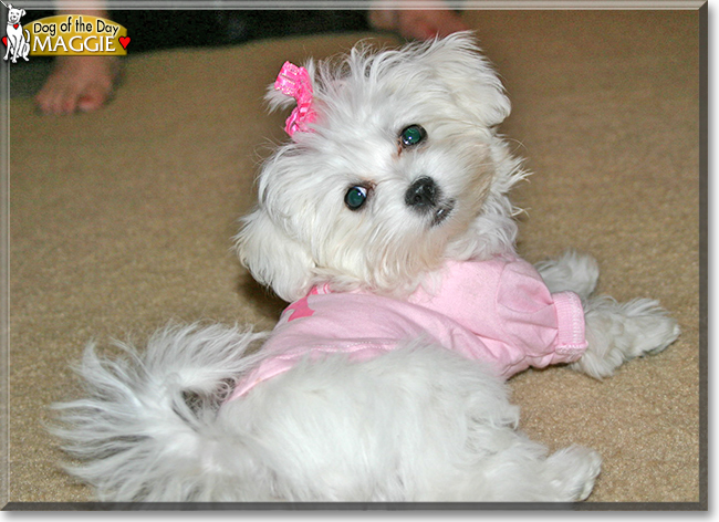 Name:  27.jpg
Views: 154
Size:  232.8 KB