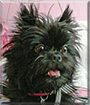 Name:  large.jpg
Views: 141
Size:  12.0 KB