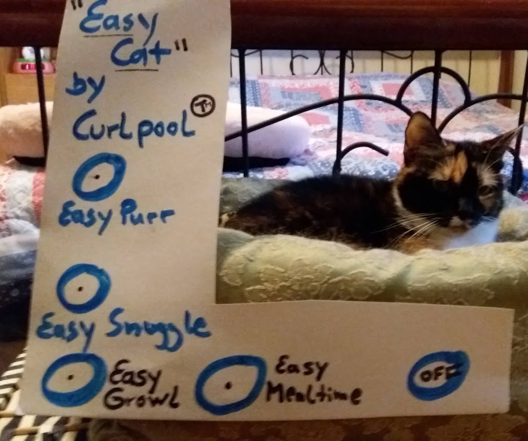 Name:  curl3.jpg
Views: 125
Size:  122.3 KB