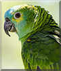 Name:  large (1).jpg
Views: 177
Size:  13.9 KB