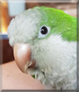Name:  large (1).jpg
Views: 146
Size:  10.6 KB