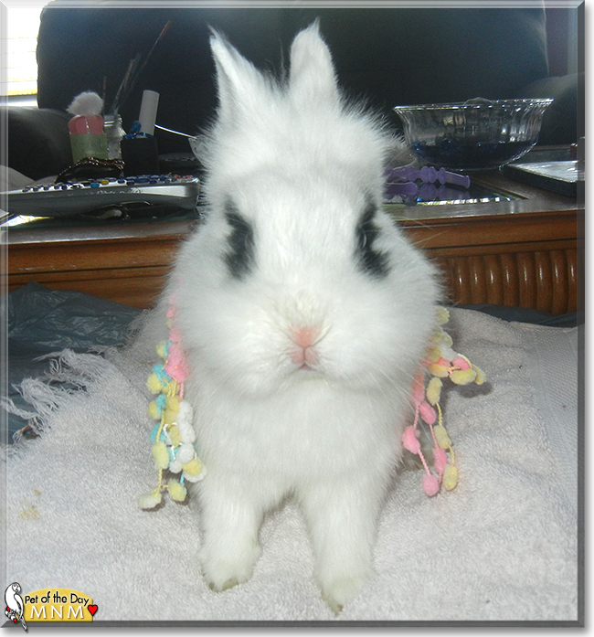 Name:  07b.jpg
Views: 285
Size:  294.6 KB