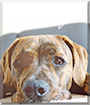 Name:  large.jpg
Views: 221
Size:  11.7 KB