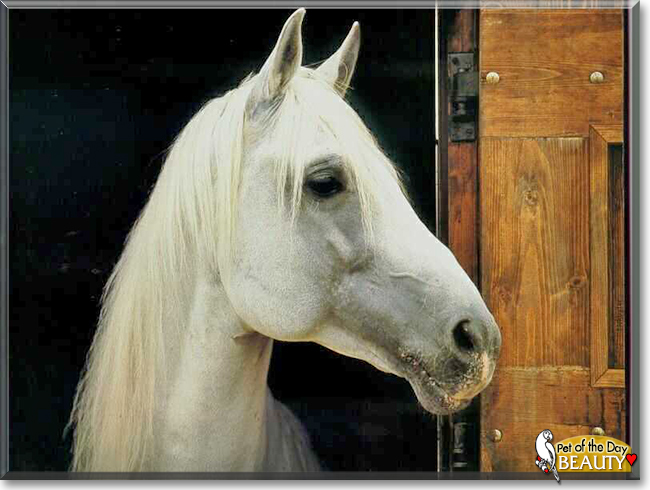 Name:  11.jpg
Views: 128
Size:  177.2 KB