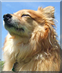 Name:  large.jpg
Views: 129
Size:  13.2 KB