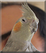 Name:  large.jpg
Views: 125
Size:  10.1 KB
