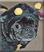 Name:  large.jpg
Views: 130
Size:  15.9 KB