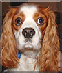 Name:  large.jpg
Views: 127
Size:  13.9 KB
