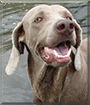 Name:  large.jpg
Views: 189
Size:  11.9 KB