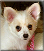 Name:  large.jpg
Views: 119
Size:  11.7 KB