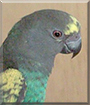 Name:  large.jpg
Views: 298
Size:  10.9 KB