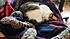 Click image for larger version. 

Name:	olisleep.jpg 
Views:	110 
Size:	40.9 KB 
ID:	61281