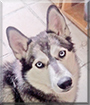 Name:  large.jpg
Views: 155
Size:  11.1 KB