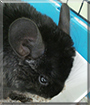 Name:  large.jpg
Views: 125
Size:  11.2 KB