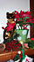 Click image for larger version. 

Name:	gold13.jpg 
Views:	109 
Size:	112.8 KB 
ID:	61327