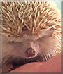 Name:  large (1).jpg
Views: 121
Size:  12.4 KB
