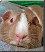 Name:  large.jpg
Views: 101
Size:  12.2 KB