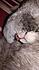 Click image for larger version. 

Name:	mknosie.jpg 
Views:	82 
Size:	147.2 KB 
ID:	61335