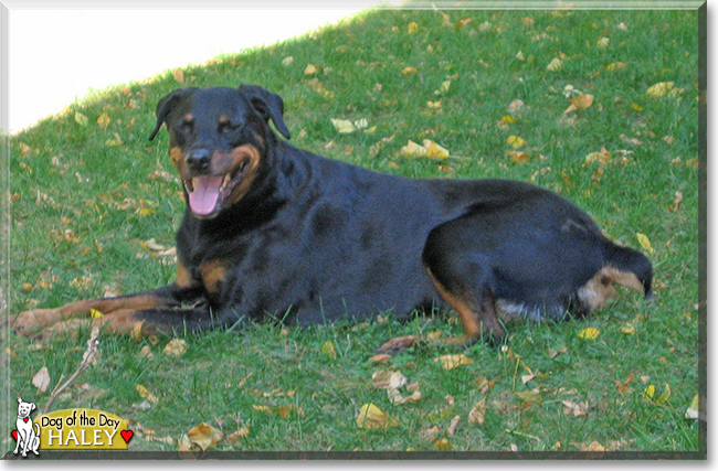 Name:  26b.jpg
Views: 109
Size:  285.8 KB