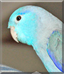 Name:  large.jpg
Views: 143
Size:  12.0 KB