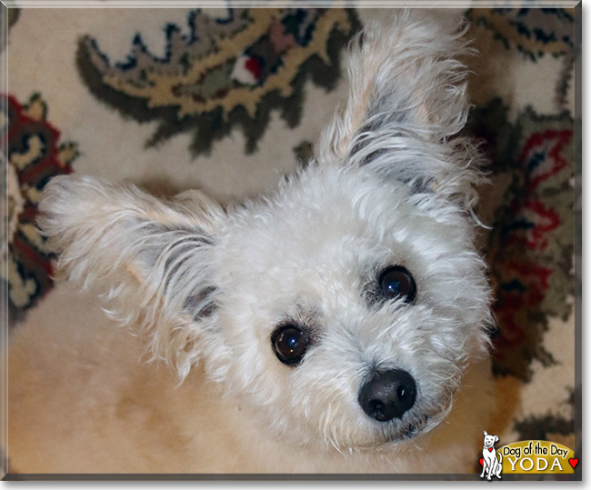 Name:  28.jpg
Views: 208
Size:  219.1 KB