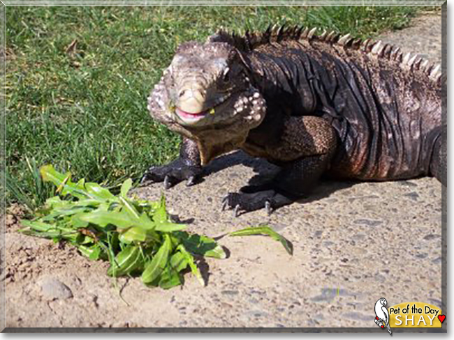 Name:  28.jpg
Views: 163
Size:  241.1 KB