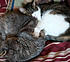 Click image for larger version. 

Name:	bff.jpg 
Views:	241 
Size:	73.2 KB 
ID:	61359