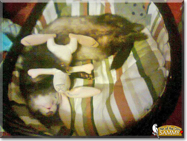 Name:  01b.jpg
Views: 133
Size:  300.5 KB