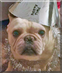 Name:  large.jpg
Views: 189
Size:  12.1 KB