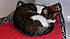 Click image for larger version. 

Name:	ny2.jpg 
Views:	149 
Size:	48.7 KB 
ID:	61368