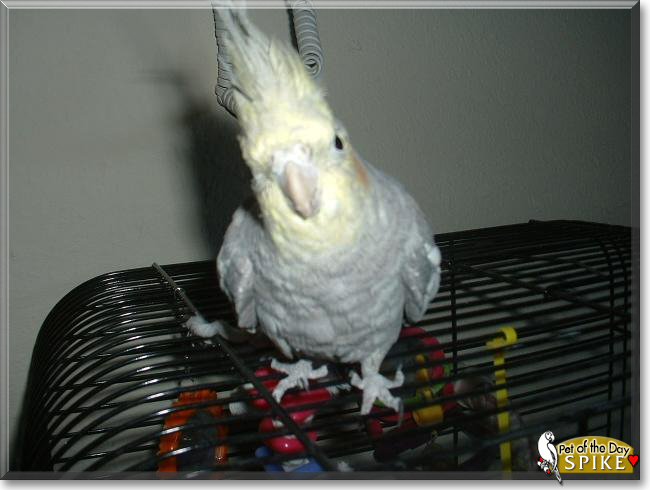 Name:  02.jpg
Views: 124
Size:  96.2 KB