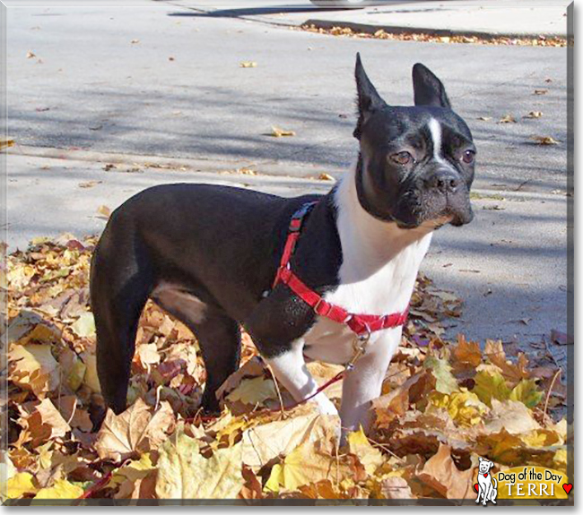Name:  08.jpg
Views: 203
Size:  281.4 KB
