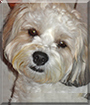 Name:  large.jpg
Views: 175
Size:  11.4 KB