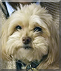 Name:  large.jpg
Views: 178
Size:  12.2 KB