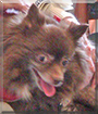 Name:  large.jpg
Views: 173
Size:  15.8 KB