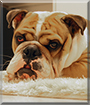 Name:  large.jpg
Views: 142
Size:  14.2 KB