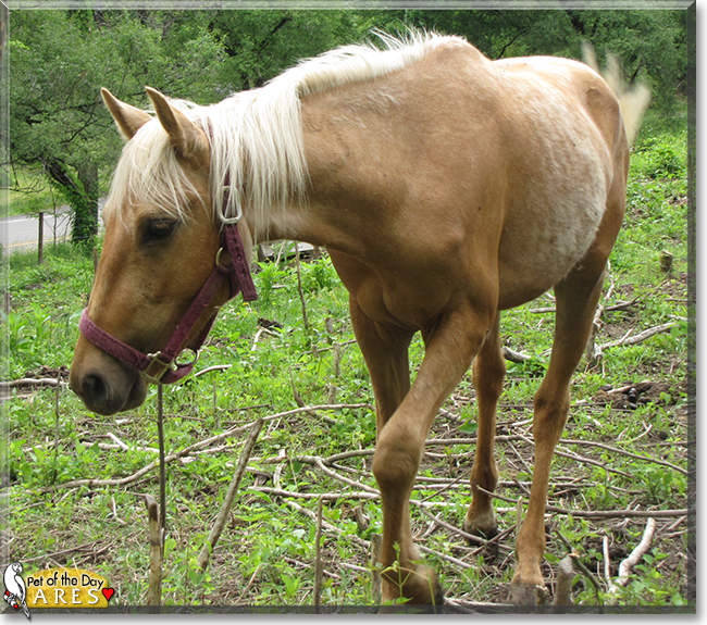 Name:  27.jpg
Views: 168
Size:  447.9 KB