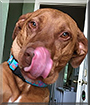 Name:  large.jpg
Views: 168
Size:  13.3 KB
