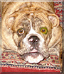 Name:  large.jpg
Views: 141
Size:  16.2 KB