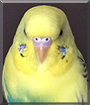 Name:  large (1).jpg
Views: 148
Size:  10.0 KB