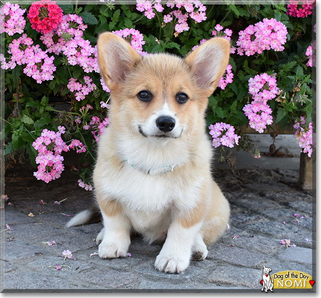 Name:  09d.jpg
Views: 385
Size:  394.9 KB