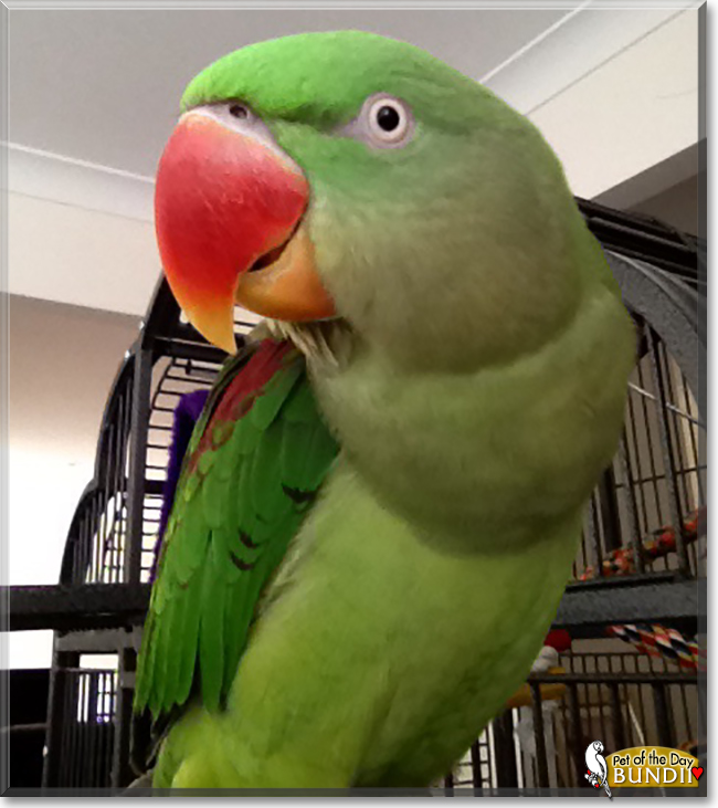Name:  09d.jpg
Views: 241
Size:  201.6 KB