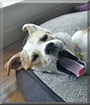 Name:  large (1).jpg
Views: 137
Size:  10.3 KB