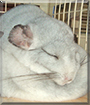 Name:  large.jpg
Views: 138
Size:  11.2 KB