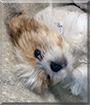 Name:  large.jpg
Views: 174
Size:  10.8 KB
