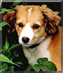 Name:  large.jpg
Views: 160
Size:  13.6 KB