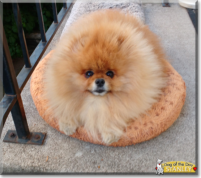 Name:  24.jpg
Views: 200
Size:  254.7 KB