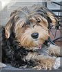 Name:  large (1).jpg
Views: 141
Size:  12.7 KB